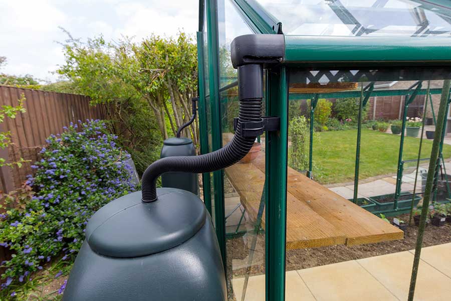 Garden water butts attached to a greenhouse